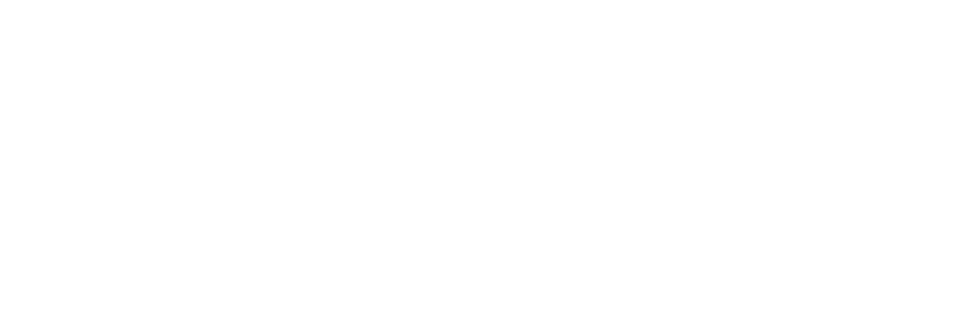 Nessel