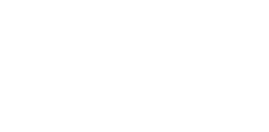 Vchepyvsi Blud
